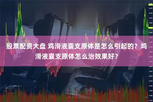 股票配资大盘 鸡滑液囊支原体是怎么引起的？鸡滑液囊支原体怎么治效果好？