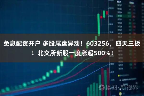 免息配资开户 多股尾盘异动！603256，四天三板！北交所新股一度涨超500%！